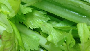 Vegetable smoothie with celery